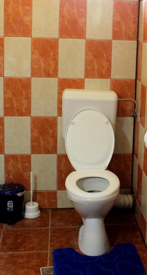 Anuta Hotel Breaza  Luaran gambar