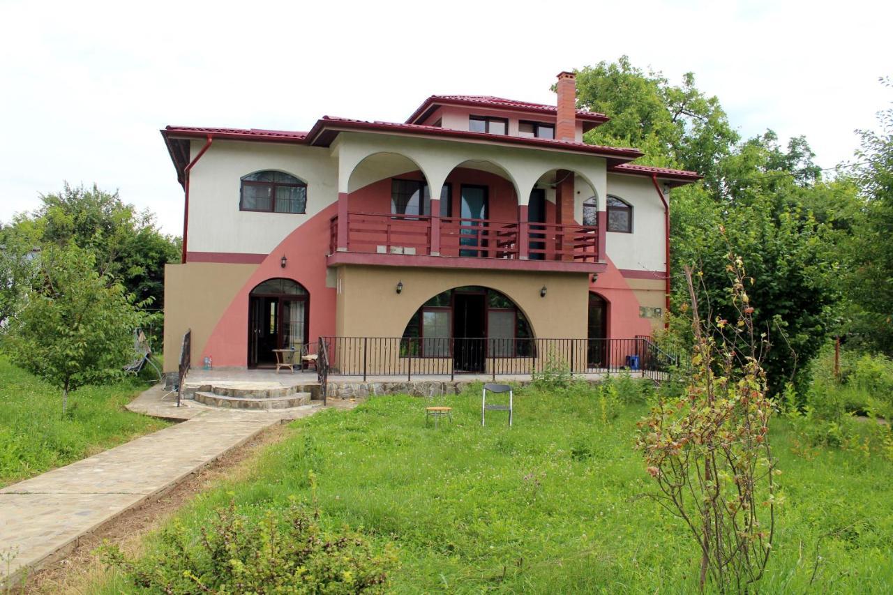 Anuta Hotel Breaza  Luaran gambar