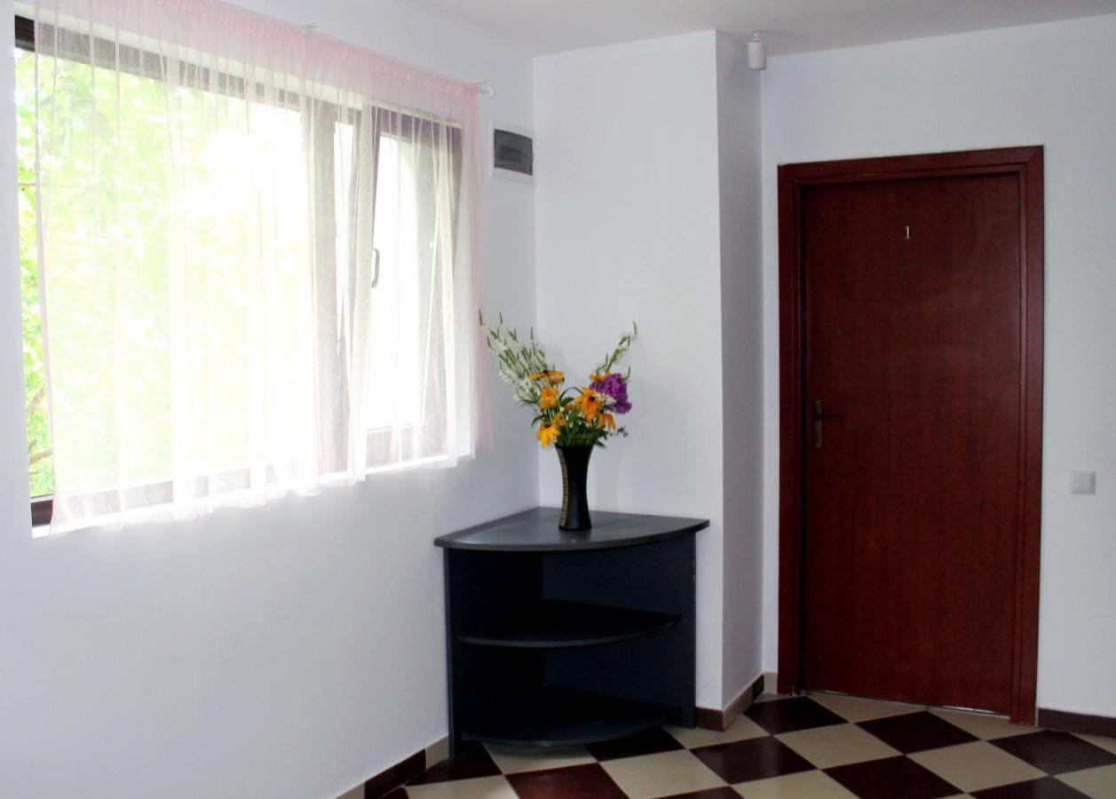 Anuta Hotel Breaza  Luaran gambar